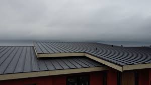 Best Green or Eco-Friendly Roofing Solutions  in Atoka, NM